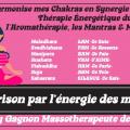 Affiche chakras mudras mantras