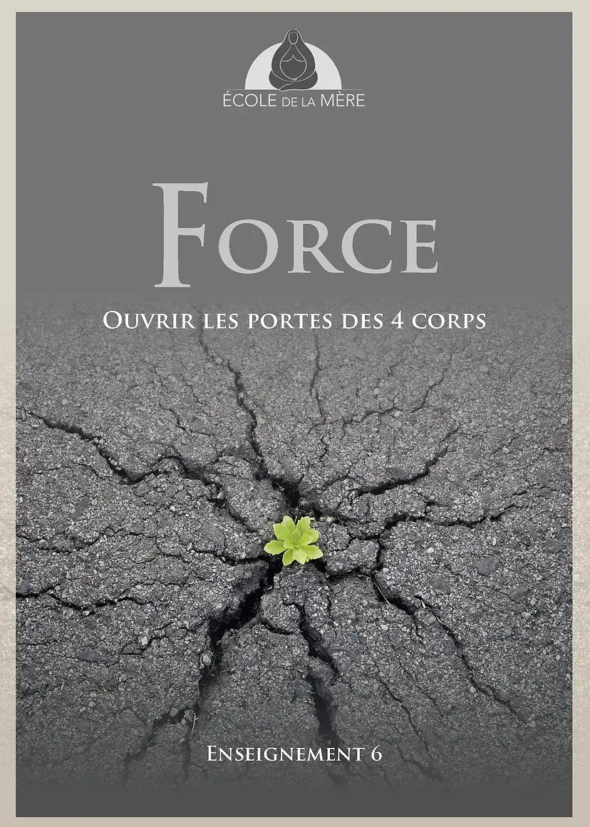 Force