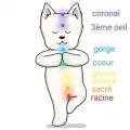 Chakras animal