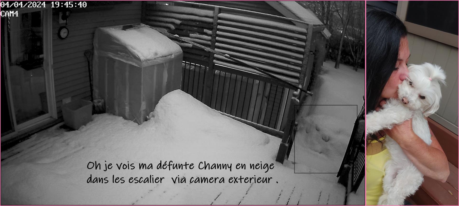 Signe de channy